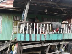 Polisi Renovasi Rumah Nenek Usia 75 di Ela-ela Yang Hidup Sebatang Kara