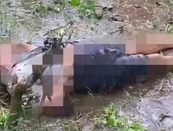 Suami di Bulukumba Temukan Istri Tewas di Kebun Sendiri