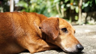 2019 01 25 11 59 18 1152x765 copy 800x531