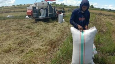 6b777dc1af6c7af5c8d02317b6a6d527 1