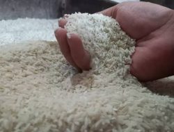 Harga Beras di Bulukumba Bervariasi, Petani Sebut Murah