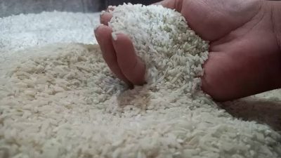 74554238245 images 70 copy 800x533