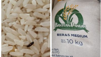 Warga Desa Tamaona Kindang Diduga Dapat Bantuan Beras Bulog Bekutu