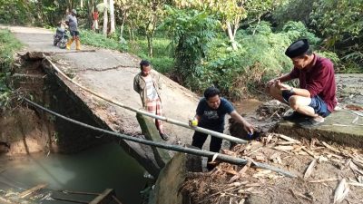 IMG 20250717 WA00301 copy 800x493