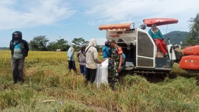 IMG 20250723 WA0097 copy 800x600 1