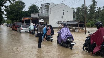 IMG 20250705 152336 copy 800x555