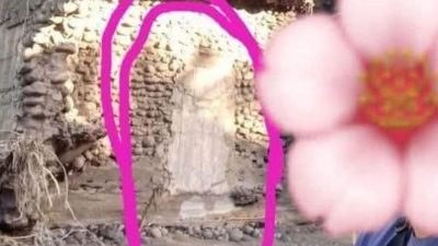 IMG 20250707 143333 copy 800x719