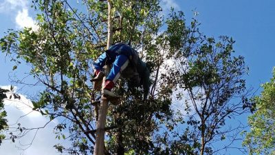 IMG 20250710 180246 copy 800x692