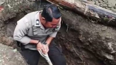 IMG 20250716 165039 copy 800x687