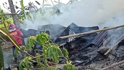 IMG 20250716 212514 copy 800x686