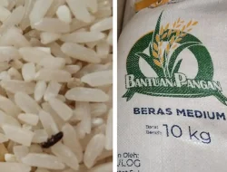Warga Desa Tamaona Kindang Diduga Dapat Bantuan Beras Bulog Bekutu
