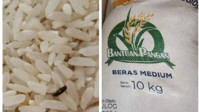 Ilustrasi bantuan beras Bulog di Desa Tamaona Kindang