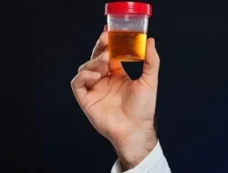 Camat dan Lurah di Tes Urine Dadakan Usai Rapat Dengan Wabup, Hasilnya