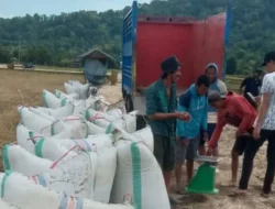 Bulog Bulukumba Tekankan Harga Gabah Petani Rp6.500.00 Perkilogram