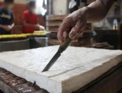 Ipal Tidak Sesuai Standar, Pabrik Tahu di Bulukumba Ditutup