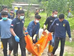 Hilangnya Kampung Jawa di Bulukumba, Pasca Tragedi Pembunuhan Sadis