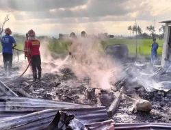 Belum Sebulan Usai Gelar Resepsi Pernikahan, Rumah Diamuk Si Jago Merah