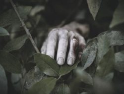 Belum Sebulan, Dua Warga Bulukumba Ditemukan Tewas Tersengat Listrik