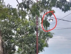 Banyak PJU di Bulukumba Menyala 24 Jam, Warga Sebut Pemborosan