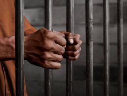 Dua Belas Pria, Satu Wanita Ditangkap Narkoba