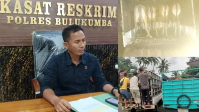 Belasan Sapi Hasil Curian Berhasil Diamankan Satreskrim Polres Bulukumba 