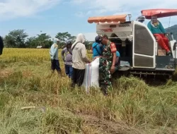 TNI Awasi Pembelian Gabah Petani di Bulukumba