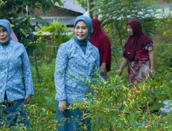 PKK Kabupaten Bulukumba Lolos di Kompetisi Copsi Award 2025