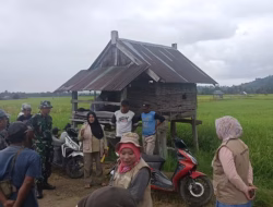 Terserang Hama, Tim Dinas Pertanian Tinjau Lahan Persawahan Petani di Bontonyeleng