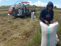 Kades Bontonyeleng Ingatkan Harga Beli Gabah Petani Tidak Boleh Dibawa HPP
