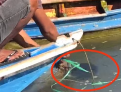 Breaking News : Pria Tanpa Identitas Ditemukan Tewas Mengapung di Sungai Lembang