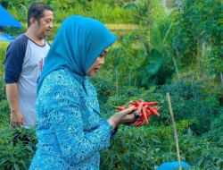 GEMOIH Juara II Kompetisi Internasional Sektor Publik COPSI 2025