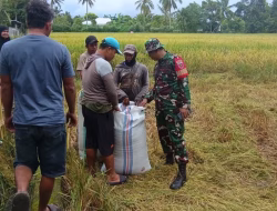 Tahun Ini Indonesia Siap Swasembada Pangan
