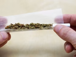 Narkoba Jenis Tembakau Gorila Beredar di Bulukumba