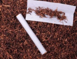 Transaksi Tembakau Gorila di Instagram, Warga Bulukumba Ditangkap Polisi