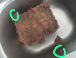 Buah Pisang Busuk dan Tempe Berulat Disalurkan oleh SPPG yang Sama