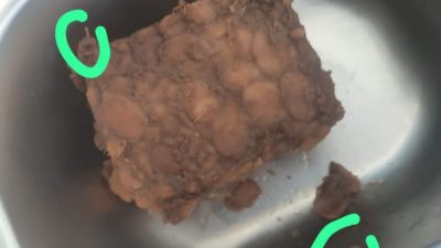 Buah Pisang Busuk dan Tempe Berulat Disalurkan oleh SPPG yang Sama