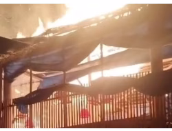 Kandang Ayam di Desa Palambarae Terbakar, Kerugian Ditaksir Rp200 Juta