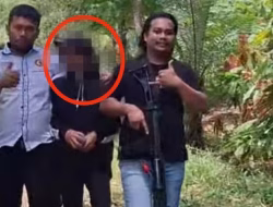 WS Pemilik Ladang Ganja di Kindang  Mengaku Bibit Dibeli Dari Makassar