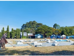 Pencuri Gabah Resahkan Petani di Bulukumba, Kepala RT Ikut Jadi Korban