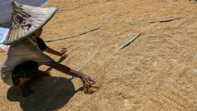 Warga Bulukumba mengeluhkan harga gabah di bawah HPP pemerintah