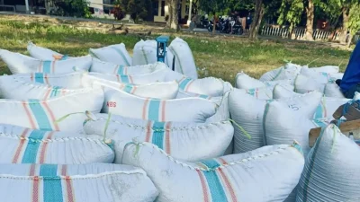 Harga Cuman Rp6000 per Kg, Banyak Gabah Petani di Bulukumba Tidak Terserap