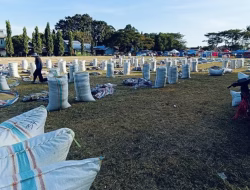 Sejumlah Petani Bulukumba Keluhkan Harga Gabah di Bawah HPP Rp6.500,00