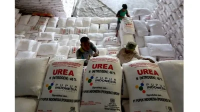 Petani Bulukumba membawa pupuk bersubsidi di kelompok tani Desa Gantarang