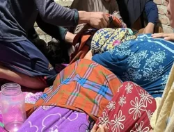 Pria di Bulukumba Tewas Tersambar Petir di Atas Pohon Aren