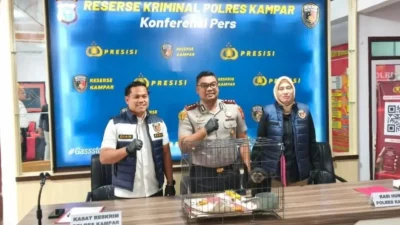 Polisi gagalkan penjualan Owa Ungko