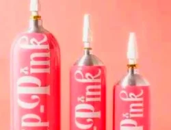 Mengenal Whip Pink di Balik Kontroversi