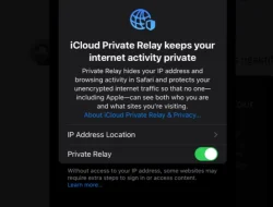 Atasi Masalah DM X Error, Aktifkan iCloud Private Relay atau VPN