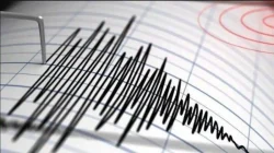Gempa M4,2 Guncang Pulau Saringi NTB