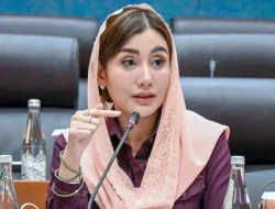 Mengenal Novita Hardini, Anggota DPR RI Cantik yang Vokal Membela Film Indonesia