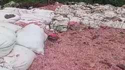 Potongan uang di Bekasi